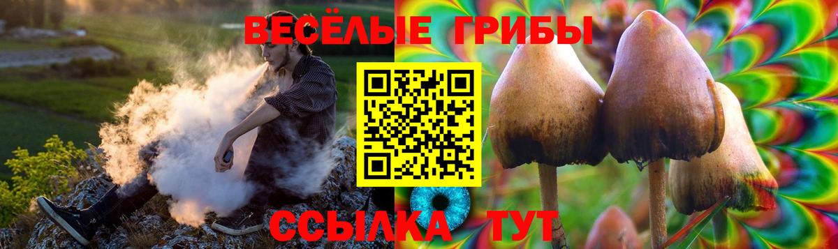 Псилоцибиновые грибы мухоморы  Вход с VPN  Партизанск 